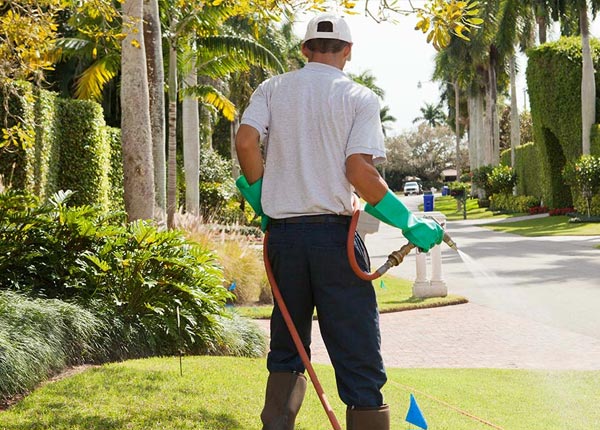 About Lapwai ID Pest Control